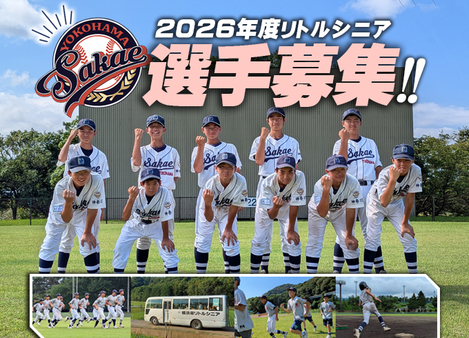 横浜栄リトルシニア